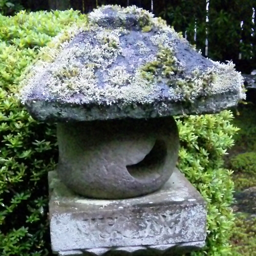 shiropanaさんのプロフィール画像