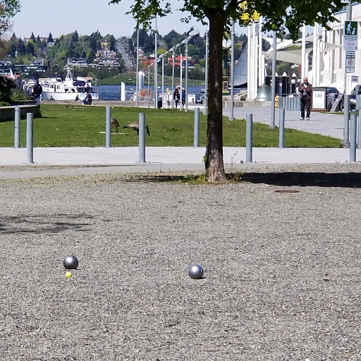 Playing boules in and around Seattle. Let's play!