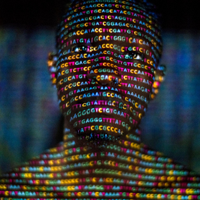 Robert Janevski (@royaco) 's Twitter Profile