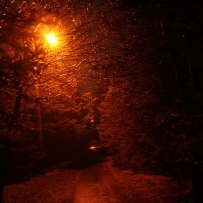 dewislloyd's profile picture. 