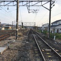 simacat (@simacat3) 's Twitter Profile Photo