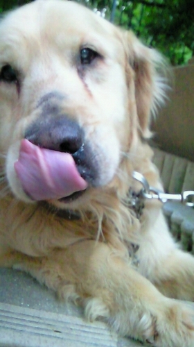 atsushi0907's profile picture. 