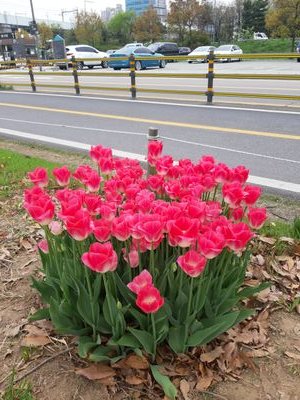 JSPmC9d3uH2F53g's profile picture. 