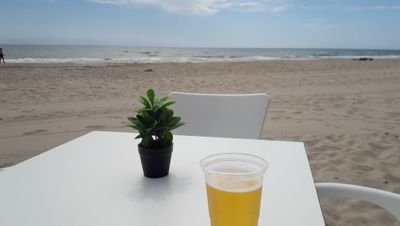 Rascayu171's profile picture. 