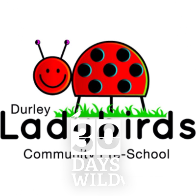Ofsted registered Pre-School based in Durley, Hampshire. Places available for children age 2+. info@durleyladybirds.co.uk 01489860304