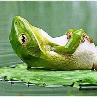 KKmin97928374's profile picture. Doctor of Dental Surgery