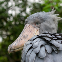 Echo (@echo_exit) 's Twitter Profile Photo