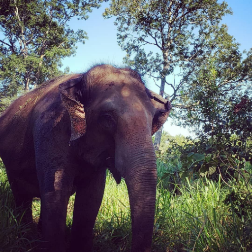 G1Jae's profile picture. 