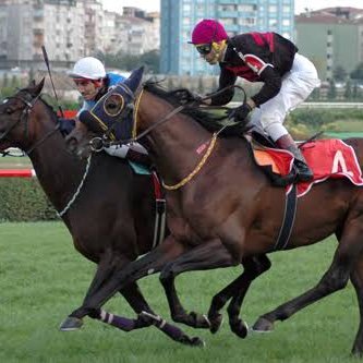 At Yarışı Uzmanı 🏇🏇🏇👑
Yarış Sevdalısı,Yorumcu Yazar..
Siyaset ❌❌ amacımızdan şaşmıyalım..
BURALAR ÇOK DEĞERLENİCEK :))