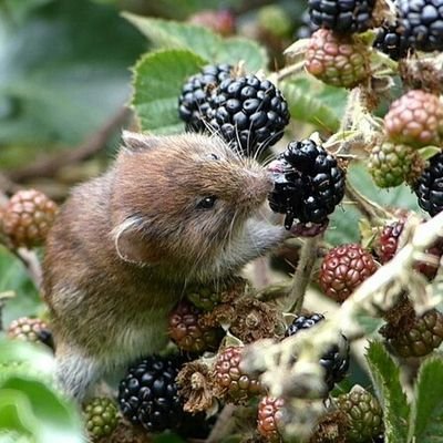 AjmalAmjid's profile picture. @ajmad ajmal