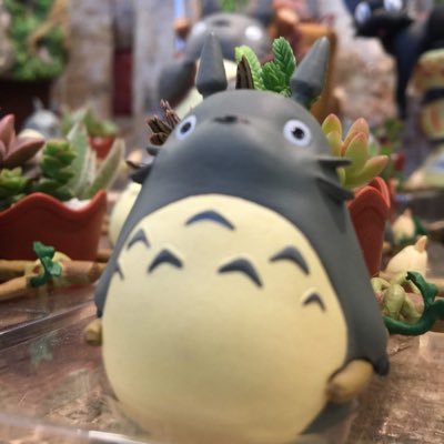 写真(CanonEOSR6 使ってます)ピクスタやってます。https://t.co/FJIdxbHn7d 柴犬、猫好きなので無断でフォローさせていただいております。https://t.co/vGhj3Ir55P