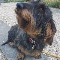 jennifer walsh (@walsh11jennifer) 's Twitter Profile