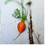 Agence de communication 100% culinaire-Identité visuelle-Print et édition-Conseil et stratégie-Internet et multimédia-Photos et recettes-Cocktails événement