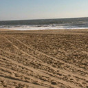 Danielle Devine - @Dancindd28 - Twitter