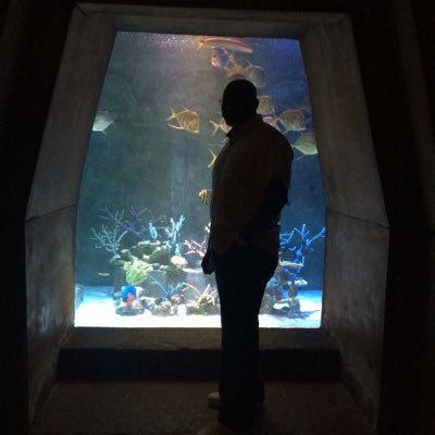 bigplantin's profile picture. 