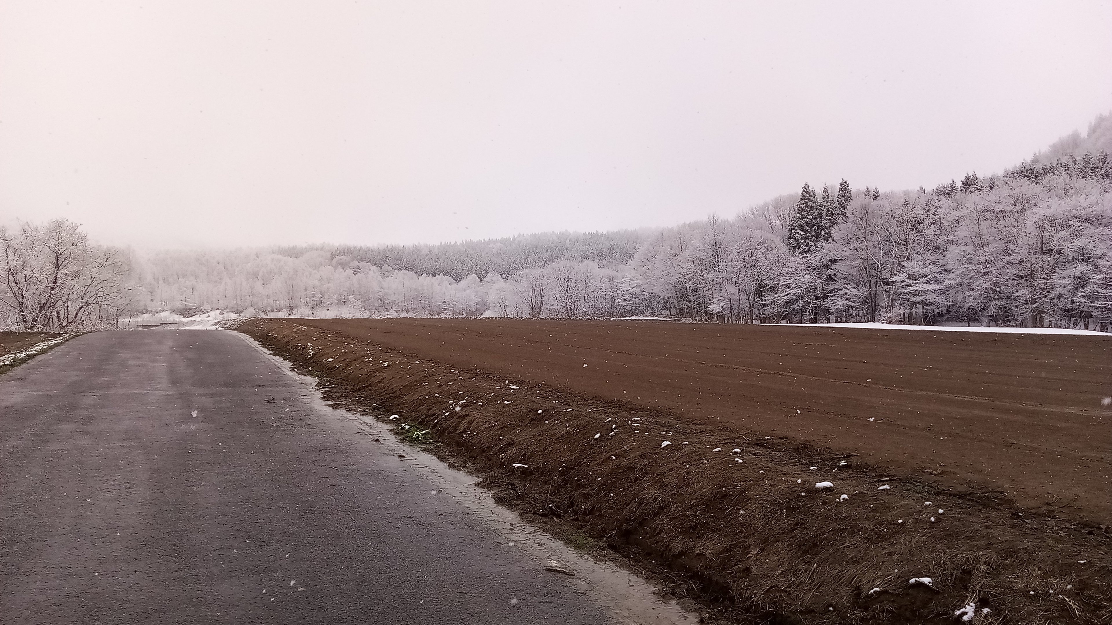 Kenikos1's profile picture. 