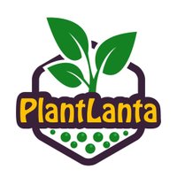 Plantlanta (@iamplantlanta) 's Twitter Profile