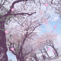 くらげ@取引垢 (@kurage_puka4) 's Twitter Profile
