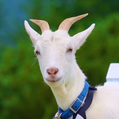 hkpao972's profile picture. 東京、IT企業社員、Azure周辺のマーケティングのお仕事してます。もちろん発言は個人のものです。