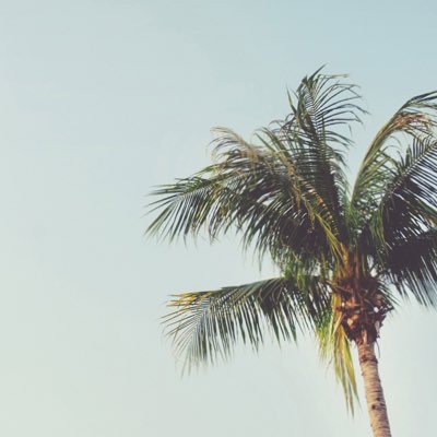 ohgo1's profile picture. ⚽️カターレ富山/🎤相坂優歌、AliA、家入レオ、陰陽座、ES-TSUS、柚凪（元703号室）、西沢幸奏、LONGMAN