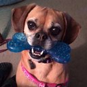 Diane Ballard - @dizie222 - Twitter