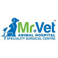Mr.Vet Animal Hospital(@mrvethospital) 's Twitter Profile Photo