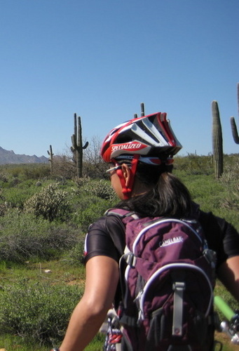 MelanieSLong's profile picture. 