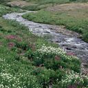 Sandra Goad - @secchanc48 - Twitter