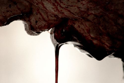 VeraBangx's profile picture. 