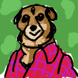 Arnaldo_zz's profile picture. 