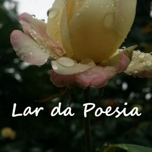 A casa onde as palavras expressam a vida e o amor. Somos um casal amante da poesia e das palavras. Amamos escrever e convidamos todos à entrar.    
#lardapoesia