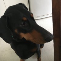 alemán (@exgardoh) 's Twitter Profile