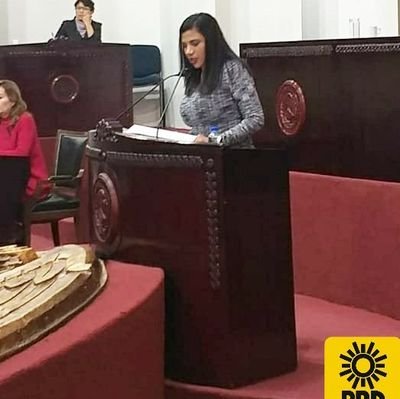 Diputada Local
Congreso del Estado Libre y Soberano de Hidalgo
LXIV Legislatura