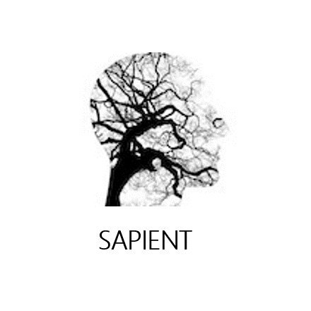 Sapient Society