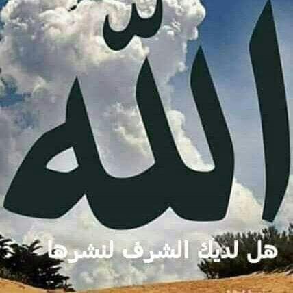 1bYdeTmJaP2TUXc's profile picture. انور المحيا