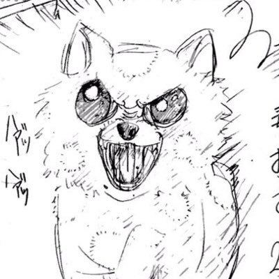 どくちわわさんのプロフィール画像