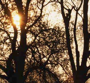 LurkersPaper's profile picture. for use by Paper.Li service; so there's nothing to see here, so move along!