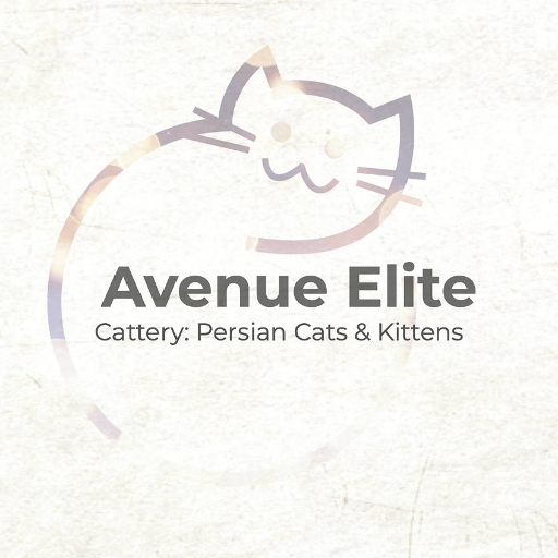 wwwAvenueElite's profile picture. Persian cats and kittens