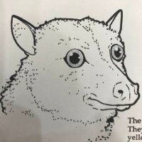 Lava not art account (@lava_shitposts) 's Twitter Profile