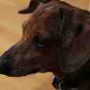 Norman Boone - @NormanBoone - Twitter