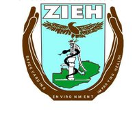 Zambia Institute of Environmental Health (@zmenvironhealth) 's Twitter Profile