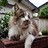 tsugaruben_bot's profile image