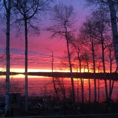 SusanJam16's profile picture. 