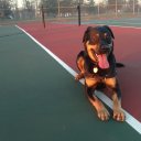 Casey Rowe - @CaseyRo56234731 - Twitter