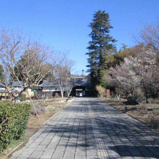桶川市 べに花ふるさと館 桶川市べに花ふるさと館 では本日 毎年恒例盆踊り大会を開催します 16 00 流しそうめん大会 小学生以上100円 高校生以上200円16 30 スイカ割り大会 17 15 盆踊り 18 45 ビンゴ大会 ビンゴカード300円 19 30 桶川市 べに花ふるさと館 桶川市べに花ふるさと館 では本日 毎年恒例盆踊り大会を開催します 16 00 流しそうめん大会 小学生以上100円 高校生以上200円16 30 スイカ割り大会 17 15 盆踊り 18 45 ビンゴ大会 ビンゴカード300円 19 30