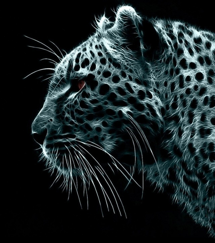 jude0080's profile picture. 