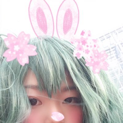 めいさんのプロフィール画像