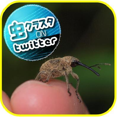 広島市佐伯区湯来町にて、家の周りの風景や花や虫の写真を撮っています♪　特にハマってしまったのが、虫の撮影です。毎日のように見た事がない虫に遭遇し、♪o(^0^o)♪o(^-^)o♪(o^0^)o ♪わくわくしています♪
時に町内の行事なども撮影してブログに載せています♪(^_^)/
2014年の夏から、登山を開始。