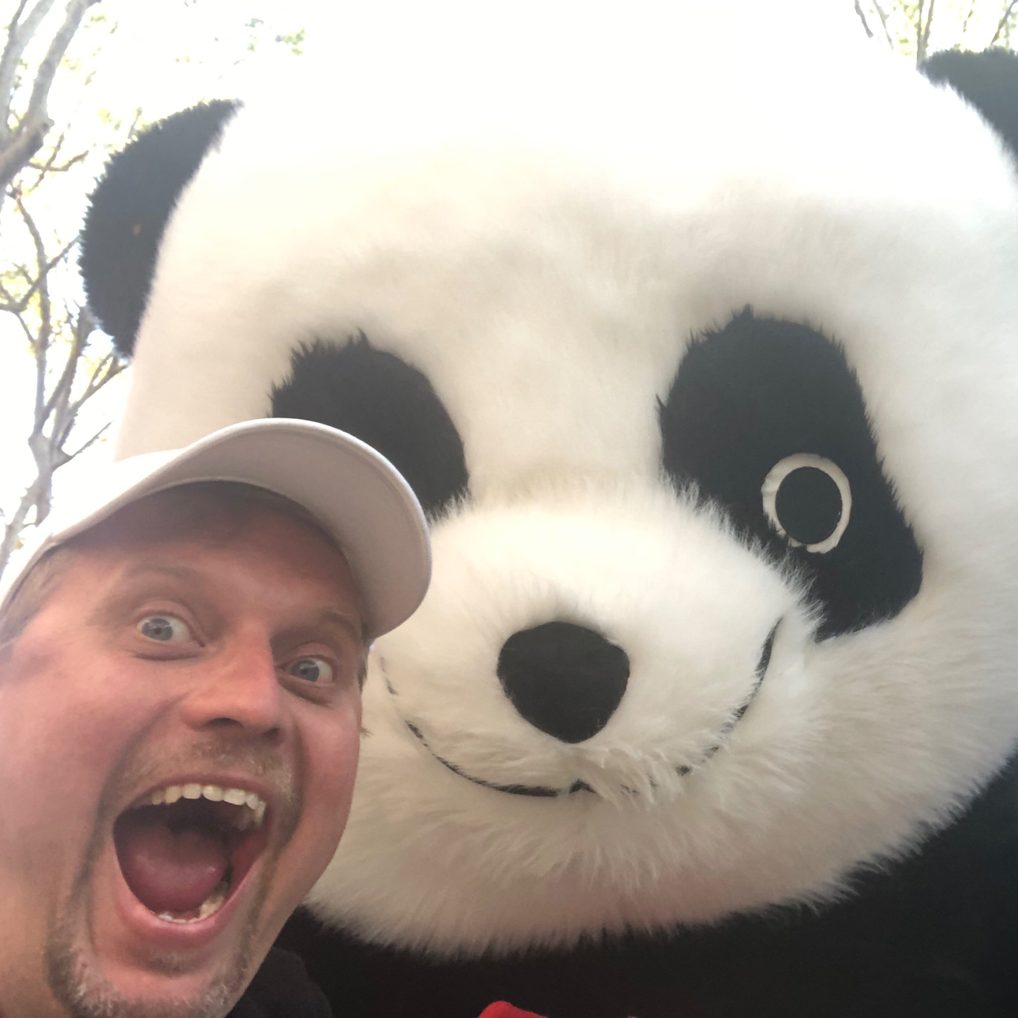 HPurgstaller's profile picture. 