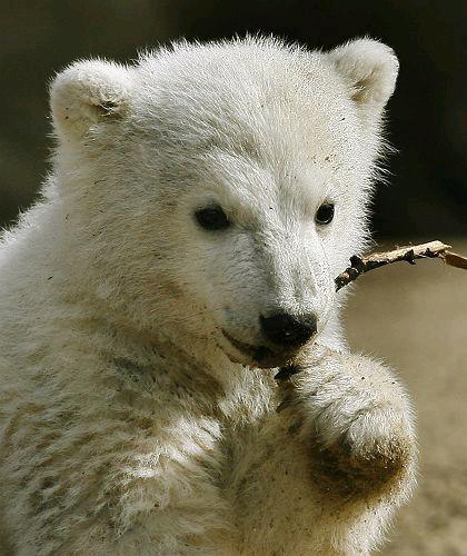 cbcalvin's profile picture. model boats, woodworking, retired mainframe dino, home maintenance,  tying knots, untangling string balls.